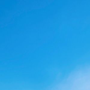 Meet your Posher, Riley